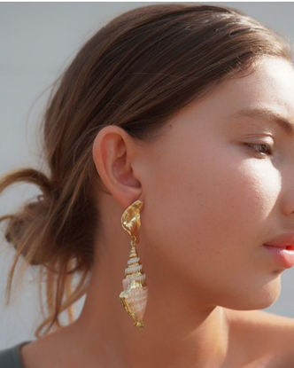 Picture of Sandy Turbo Shell earrings