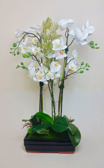 Picture of White faux orchid arrangement in black pot