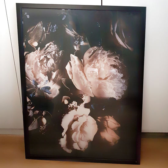 Picture of Night Peonies print